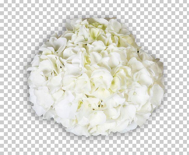 Hydrangea Floral Design Cut Flowers Flower Bouquet PNG, Clipart, Cornales, Cut Flowers, Floral Design, Floristry, Flower Free PNG Download