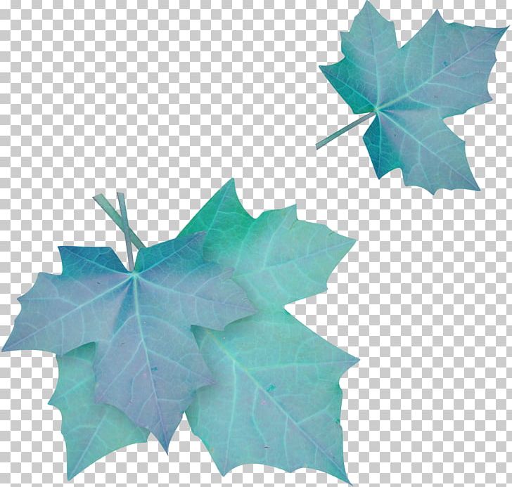 blue leaf clip art