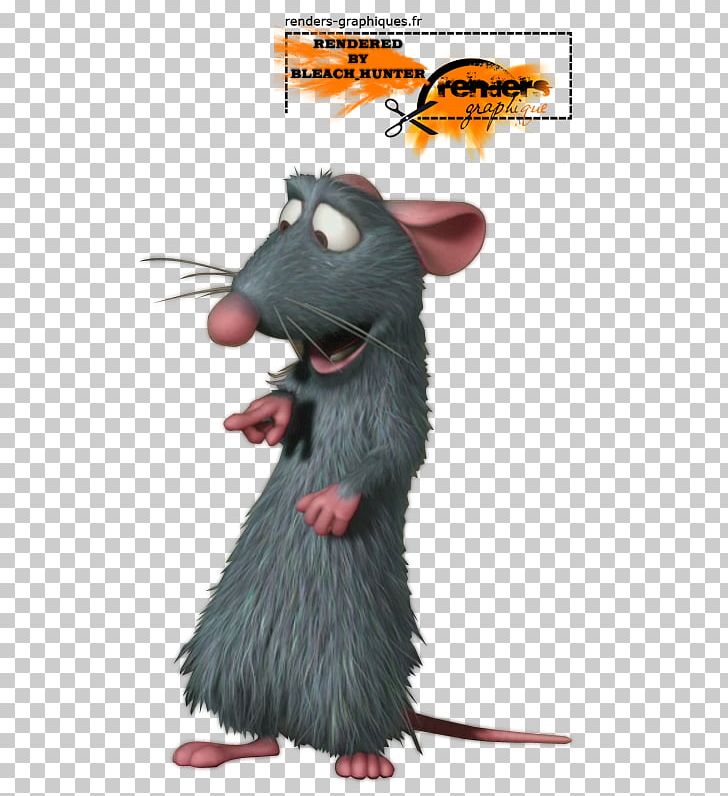 Rat Remy Rodent Murids PNG, Clipart, Animal, Animals, Animation, Desktop Wallpaper, Mammal Free PNG Download