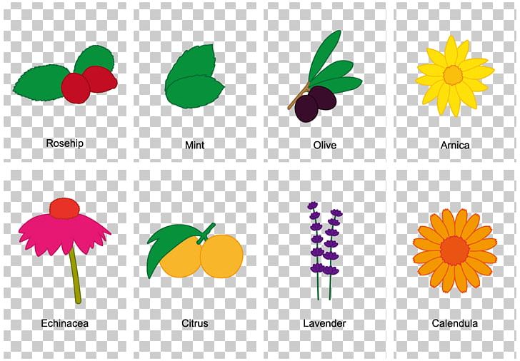 Symbol PNG, Clipart, Blackberries, Clip Art, Design, Encapsulated Postscript, Flower Free PNG Download