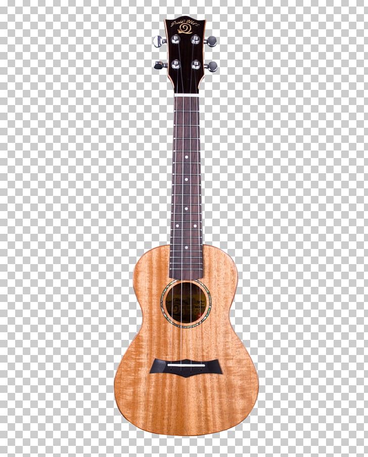 Ukulele Musical Instruments String Instruments Fingerboard Guitar PNG, Clipart, Acoustic Electric Guitar, Concert, Cuatro, Guitar Accessory, Music Free PNG Download