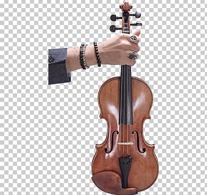 Violin String Instruments Viola Cello Musical Instruments PNG, Clipart, Bass Violin, Bow, Bowed String Instrument, Cello, Denn Free PNG Download