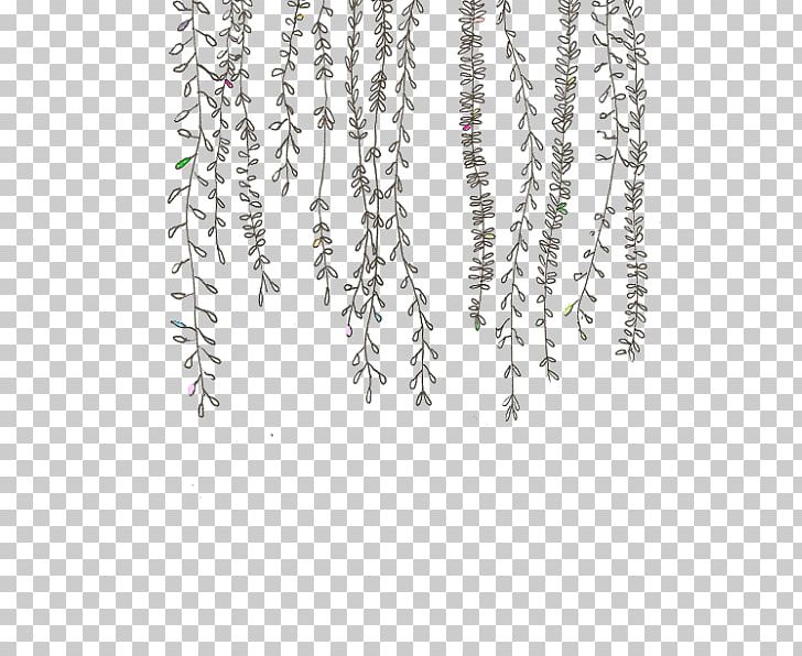 Doodle Ellsworth Kelly: Plant Drawings Ellsworth Kelly: Plant Drawings Vine PNG, Clipart, Art, Branch, Cactaceae, Doodle, Draw Free PNG Download