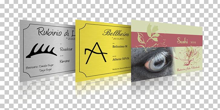 Horse Equimea Boxenschilder Photography Collage Design PNG, Clipart, Brand, Collage, Designer, Foil, Horse Free PNG Download