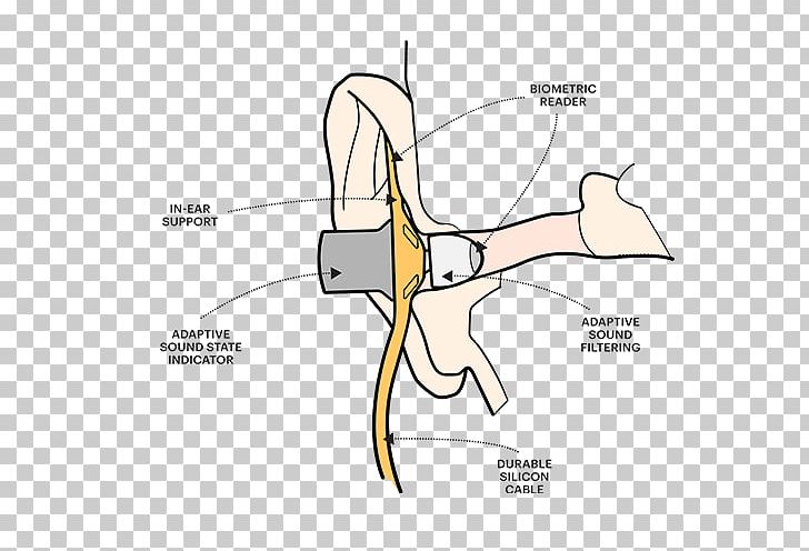 Product Design Finger Hearing PNG, Clipart, Angle, Area, Arm, Art, Bone Free PNG Download