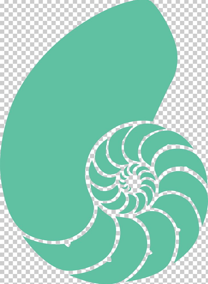 Seashell Nautilidae PNG, Clipart, Animals, Background Green, Bluegreen, Chambered Nautilus, Circle Free PNG Download