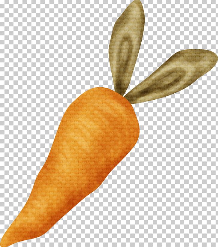 Carrot Orange Ice Cream Cone PNG, Clipart, Adobe Illustrator, Carrot, Daucus Carota, Download, Drawing Free PNG Download