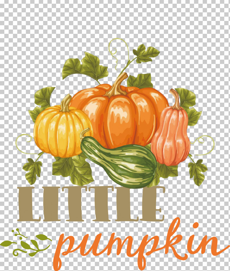 Little Pumpkin Thanksgiving Autumn PNG, Clipart, Autumn, Lammas, Little Pumpkin, Lughnasadh, Thanksgiving Free PNG Download