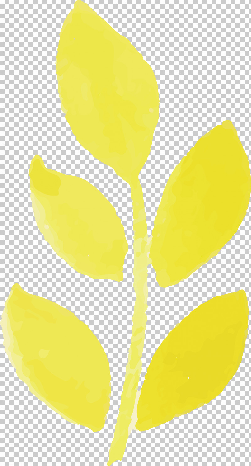 Plant Stem Leaf Yellow Commodity Fruit PNG, Clipart, Biology, Commodity, Fruit, Leaf, Plants Free PNG Download