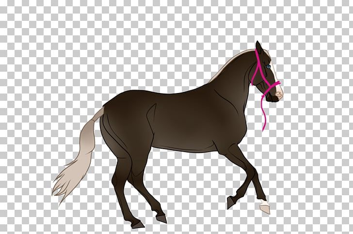 Foal Stallion Mustang Mare Colt PNG, Clipart, Bridle, Colt, Criminal Minds, Foal, Halter Free PNG Download