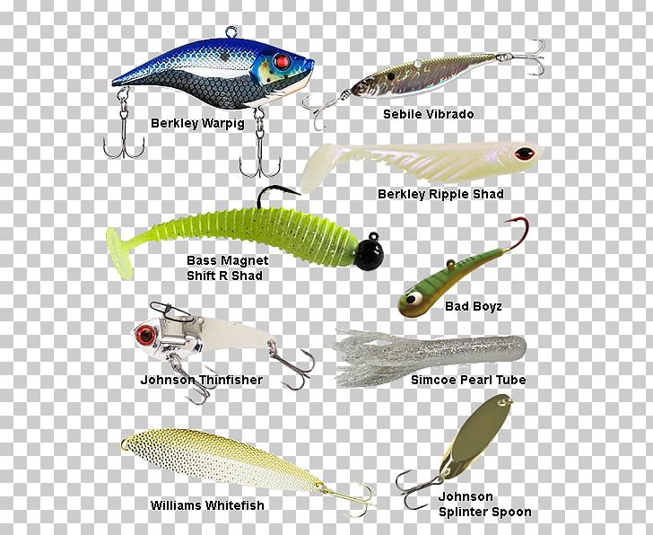 Spoon Lure Berkley Fishing Bait PNG, Clipart, Bait, Berkley, Fish, Fishing, Fishing Bait Free PNG Download