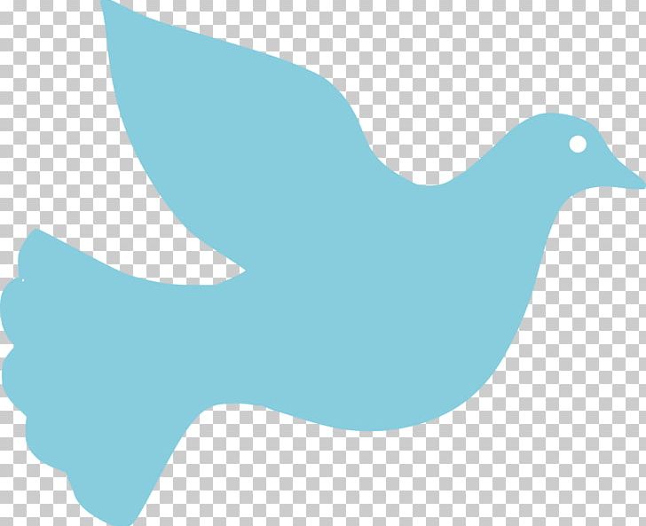 Columbidae Doves As Symbols PNG, Clipart, Aqua, Azure, Beak, Bird, Blog Free PNG Download