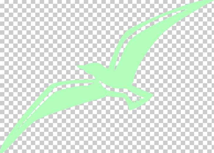 Bird Flight Drawing Watercolor Painting PNG, Clipart, Angle, Animals, Background Green, Beak, Bird Free PNG Download