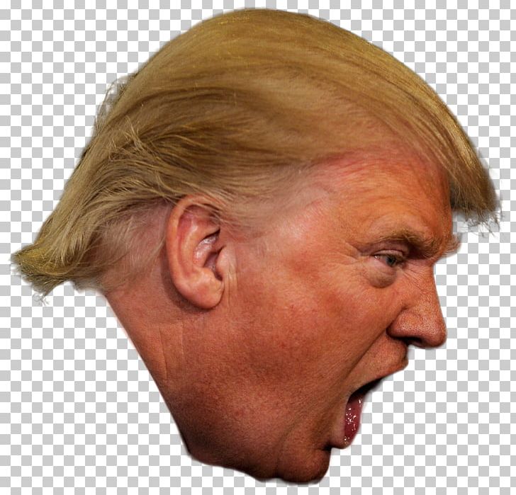 Donald Trump President Of The United States Republican Party Politics PNG, Clipart, Celebrities, Cheek, Chin, Closeup, Ear Free PNG Download