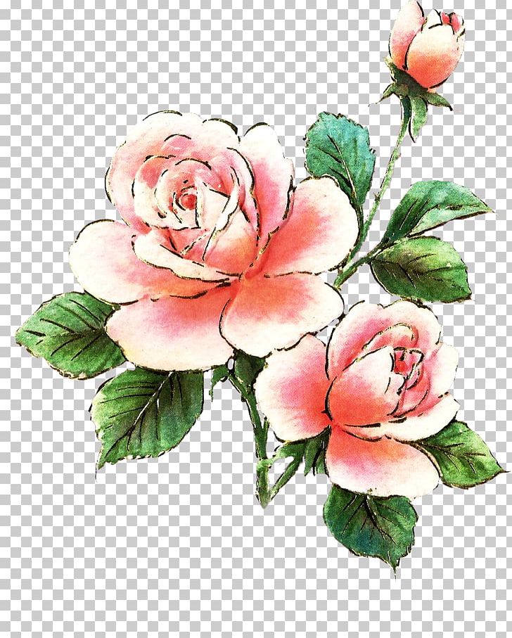 Rose Pink Free PNG, Clipart, Artificial Flower, Begonia, Cut Flowers, Floral Design, Floristry Free PNG Download