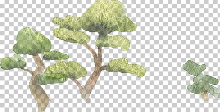 Cartoon Pine Illustration PNG, Clipart, Branch, Cartoon, Cartoon Character, Cartoon Eyes, Cartoons Free PNG Download