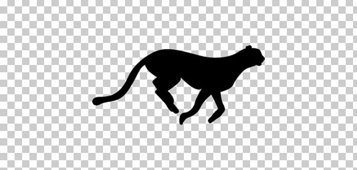 Cheetah Felidae Computer Icons PNG, Clipart, Animals, Big Cats, Black, Carnivoran, Cat Like Mammal Free PNG Download