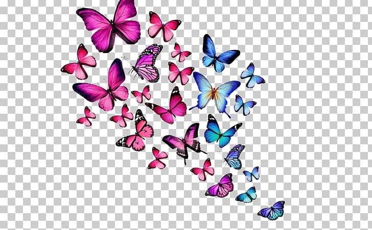 Desktop Glitter Butterfly Mobile Phones High-definition Television PNG, Clipart, 4k Resolution, 1080p, Android, Butterfly, Computer Free PNG Download