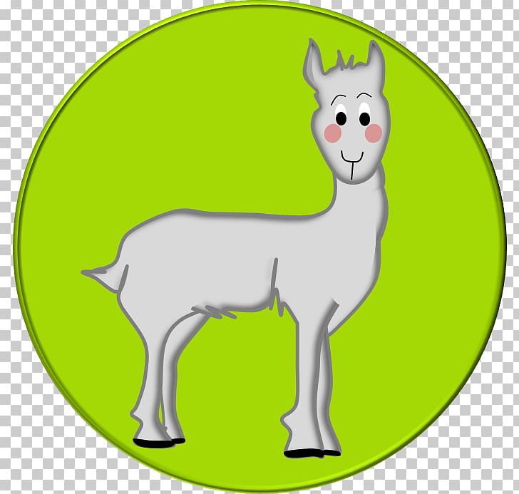 Llama Alpaca Sheep Vicuña Wool PNG, Clipart, Alpaca, Angora Rabbit, Animal, Animals, Camel Like Mammal Free PNG Download