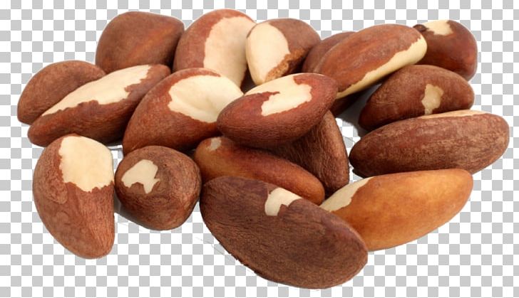 Brazil Nut Organic Food Dried Fruit Nuts PNG, Clipart, Brazil Nut, Candy, Chestnut, Chocolate Coated Peanut, Dried Fruit Free PNG Download