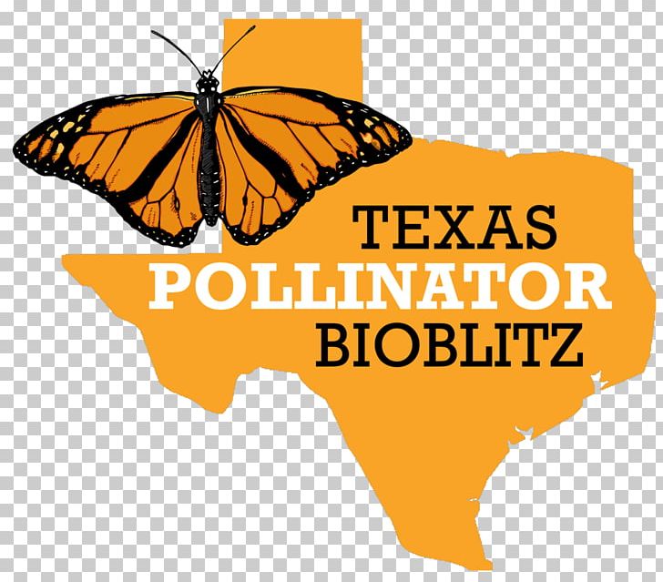 Monarch Butterfly Texas 2018 Prairie Restoration Roundup BioBlitz PNG, Clipart, Area, Bioblitz, Brand, Brush Footed Butterfly, Butterfly Free PNG Download