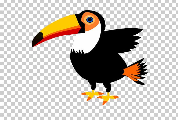 Toco Toucan Parrot Bird PNG, Clipart, Animals, Artwork, Beak, Beaver, Bird Free PNG Download