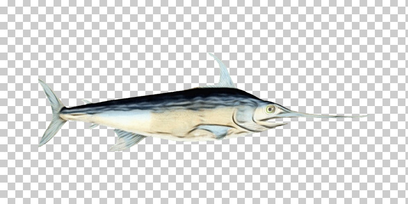 Bony Fishes Swordfish Tuna Oily Fish Sardine PNG, Clipart, Billfish, Bony Fishes, Fish, Mackerel, Milkfish Free PNG Download