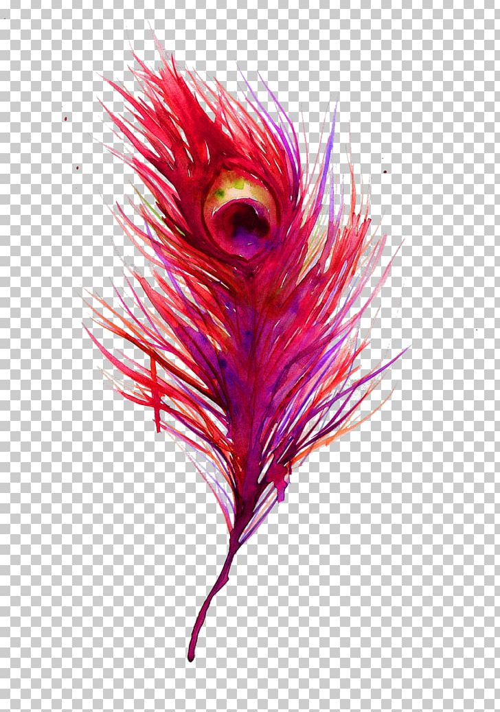 Feather Watercolor Painting Bird Peafowl PNG, Clipart, Aloe, Animals, Art, Artist, Asiatic Peafowl Free PNG Download