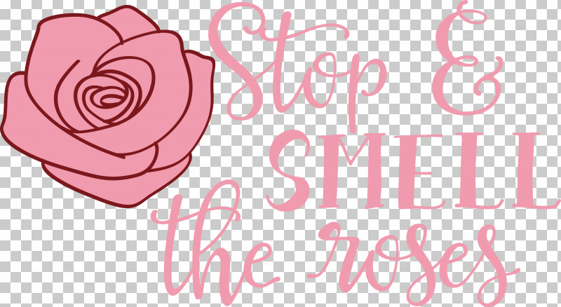 Rose Stop And Smell The Roses PNG, Clipart, Cut Flowers, Floral Design, Garden, Garden Roses, Greeting Free PNG Download