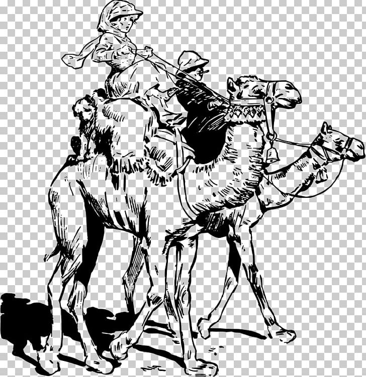 Camel Black And White PNG, Clipart, Adventure, Animals, Art, Black And White, Camel Free PNG Download
