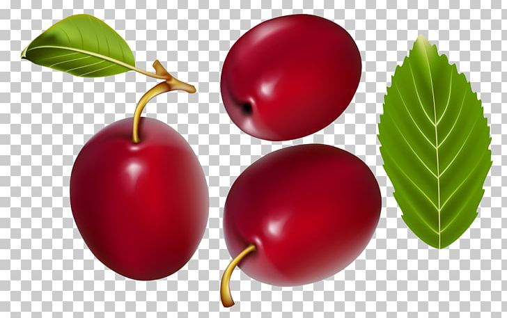 Gooseberry Cranberry Jujube Lingonberry PNG, Clipart, Acerola, Apple, Auglis, Berry, Cherry Free PNG Download