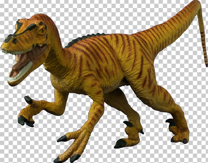 Tyrannosaurus Velociraptor Dinosaur Portable Network Graphics Carnotaurus PNG, Clipart, Age, Age Of Dinosaurs, Animal Figure, Carnotaurus, Dinosaur Free PNG Download