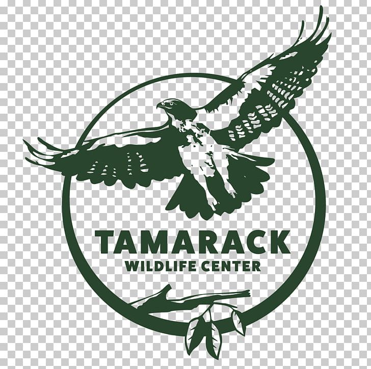 Wildlife Rehabilitation Bird Pymatuning State Park Walden's Puddle PNG, Clipart,  Free PNG Download