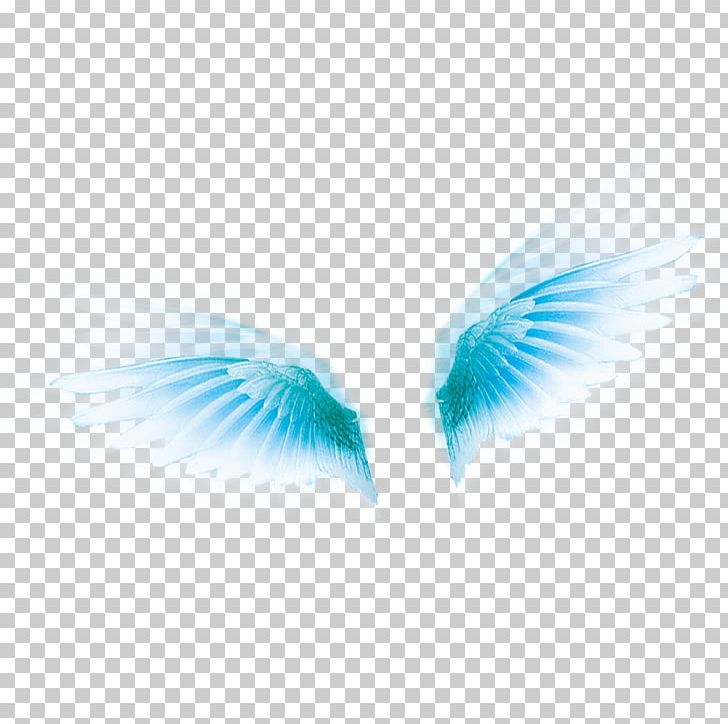 Wing Icon PNG, Clipart, Angels Wings, Angel Wing, Angel Wings, Background, Beak Free PNG Download
