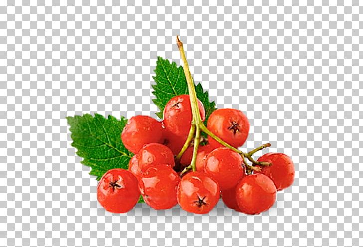 Berry Stock Photography Nalewka Rowan PNG, Clipart, Acerola, Cherry, Currant, Food, Fruit Free PNG Download