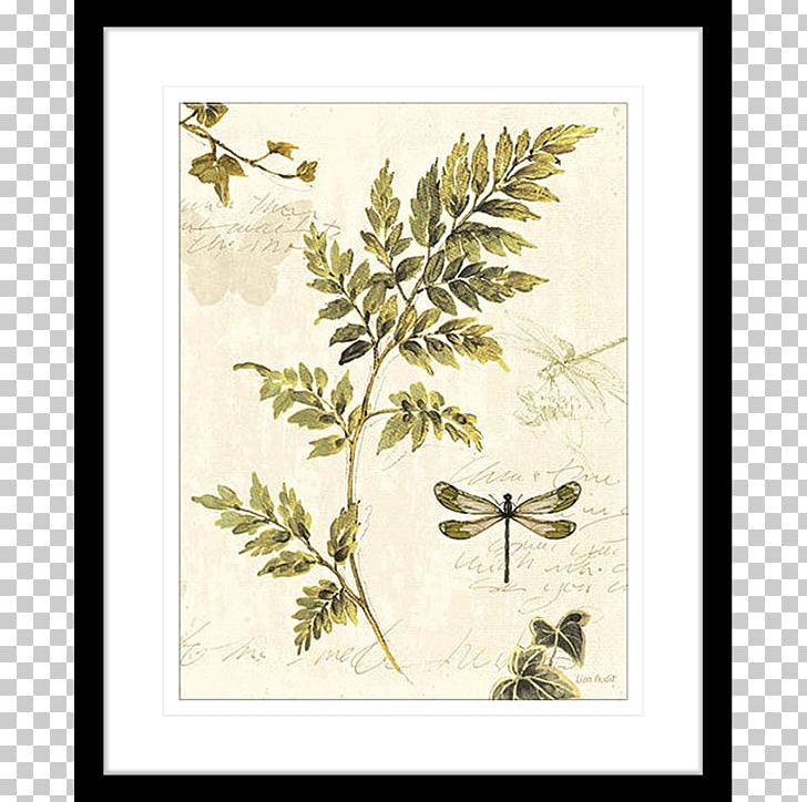 Leaf Art Fern Printing Poster PNG, Clipart, Art, Botanical Illustration, Botany, Branch, Fern Free PNG Download