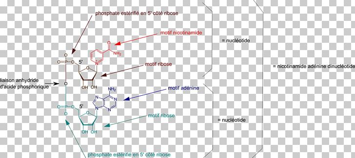 Line Point Angle PNG, Clipart, Angle, Area, Art, Diagram, Line Free PNG Download