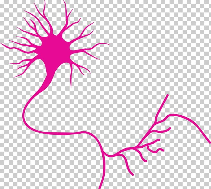 Motor Neuron Nervous System Axon PNG, Clipart, Area, Artificial Neuron, Artwork, Axon, Bipolar Neuron Free PNG Download