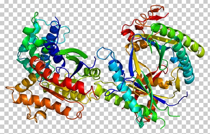 GNAS Complex Locus Gene Adenylyl Cyclase Human Genome Gs Alpha Subunit PNG, Clipart, Adcy5, Adenylyl Cyclase, Art, Body Jewelry, Fibrous Dysplasia Of Bone Free PNG Download