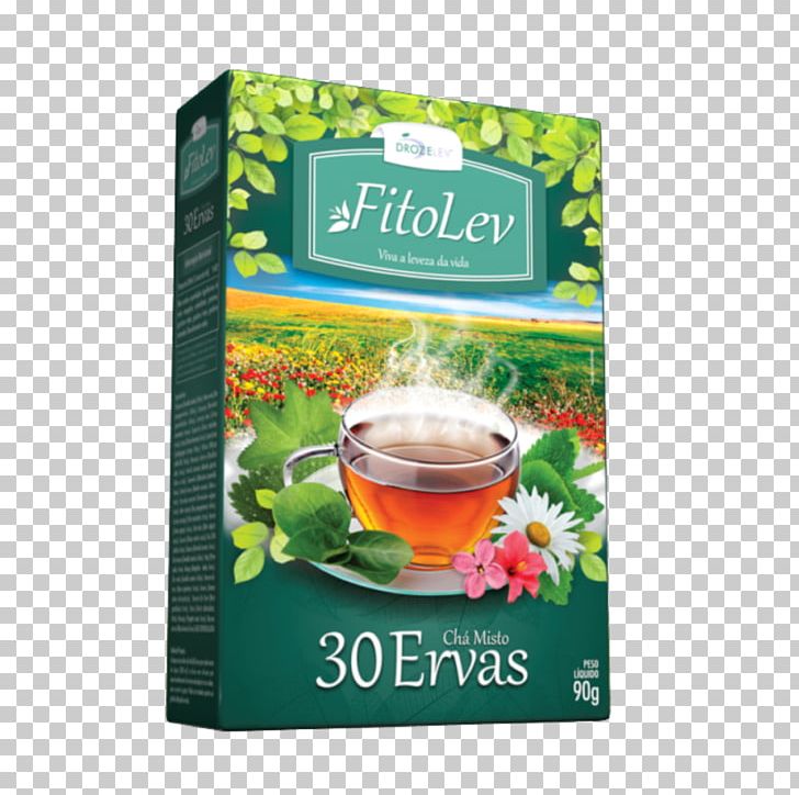 Green Tea Earl Grey Tea Herb Lemon Balm PNG, Clipart, Antioxidant, Assam Tea, Digestion, Earl Grey Tea, Fennel Free PNG Download
