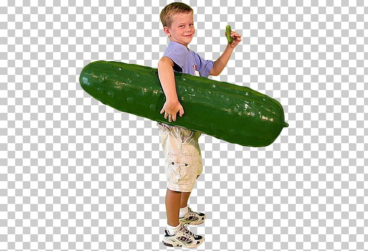 Pickled Cucumber Fried Pickle Food Vegetable Child PNG, Clipart, Boy, Child, Cucumber, Cucumber Gourd And Melon Family, Food Free PNG Download