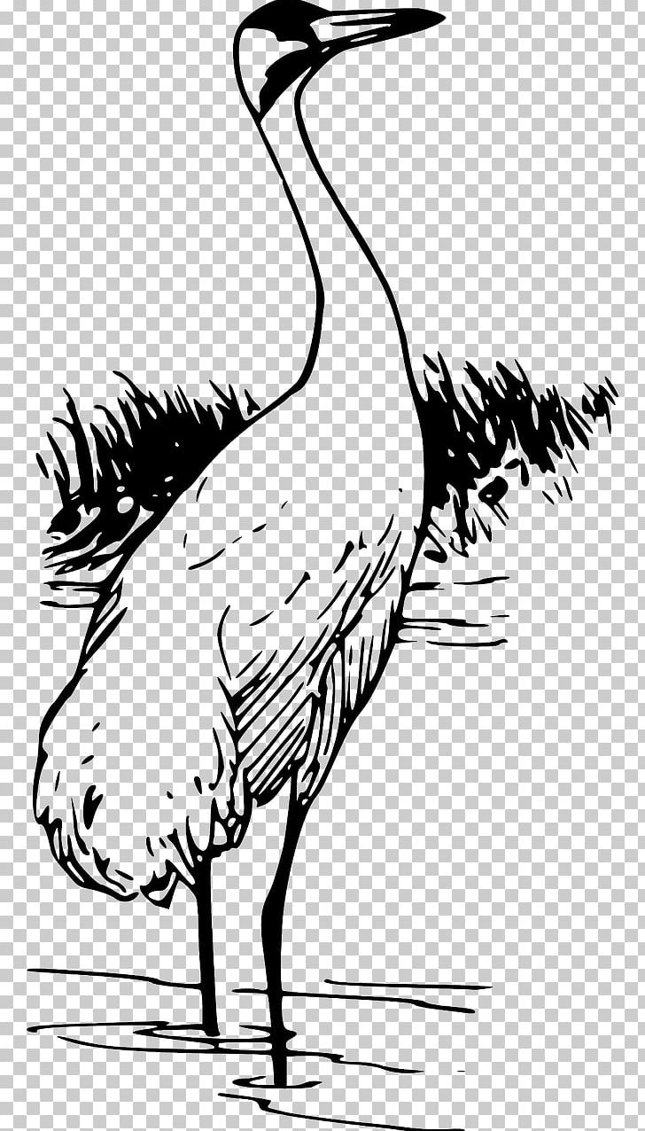 Whooping Crane Bird PNG, Clipart, Artwork, Beak, Bird, Black And White, Computer Icons Free PNG Download