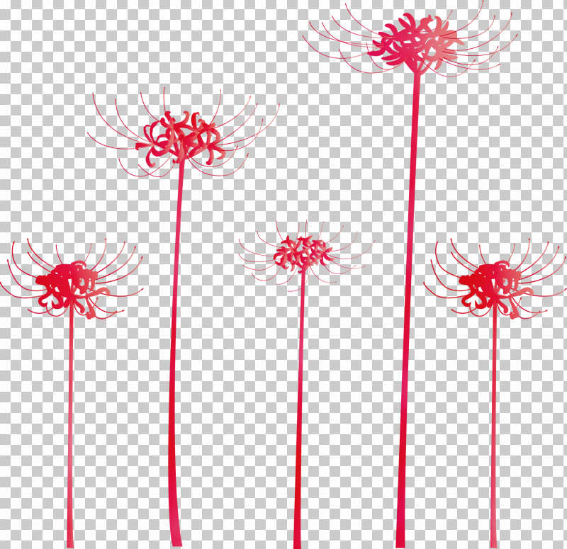 Pink Flower Plant Pedicel Line PNG, Clipart, Cut Flowers, Flower, Gerbera, Hurricane Lily, Line Free PNG Download