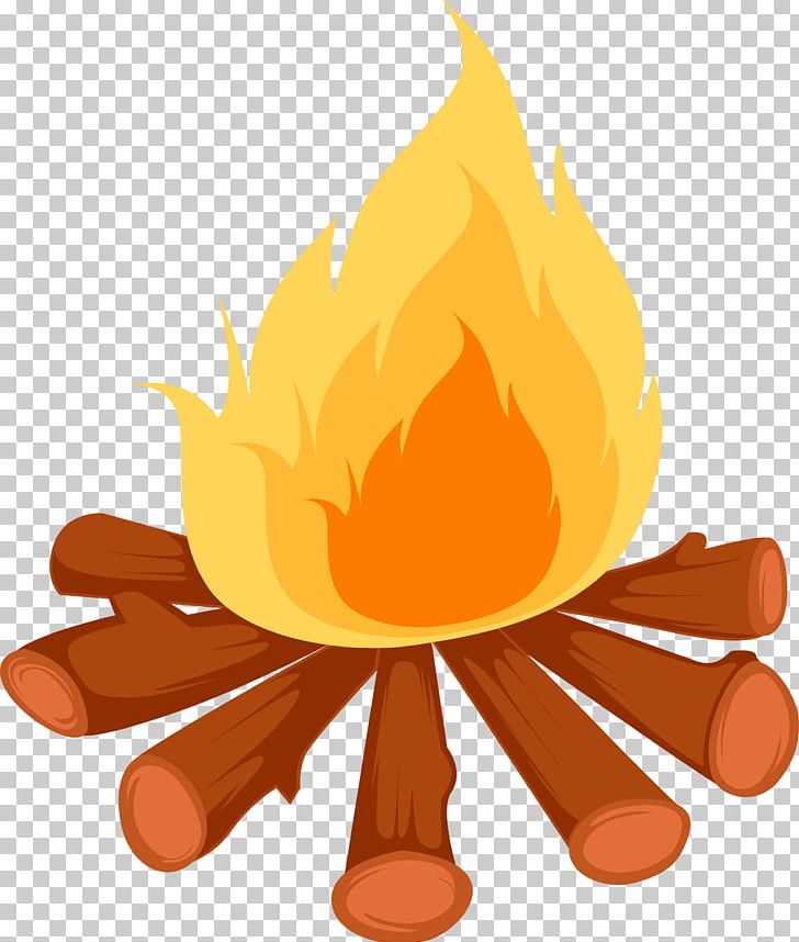 Combustion Chemical Change Physical Change Fire PNG, Clipart, Bunsen Burner, Camp, Camp Fire, Campfire, Chemical Change Free PNG Download