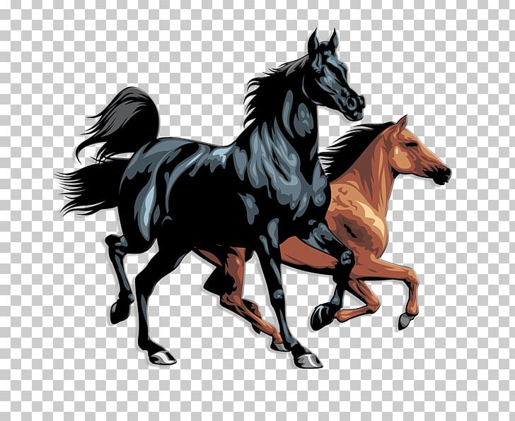 Horse PNG, Clipart, Animals, Bridle, Cheval, Collection, Encapsulated Postscript Free PNG Download