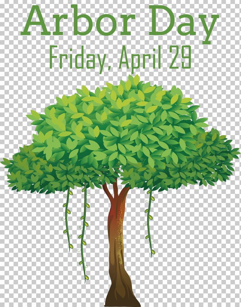 Vine PNG, Clipart, Branch, Flower, Liana, Palms, Plant Free PNG Download