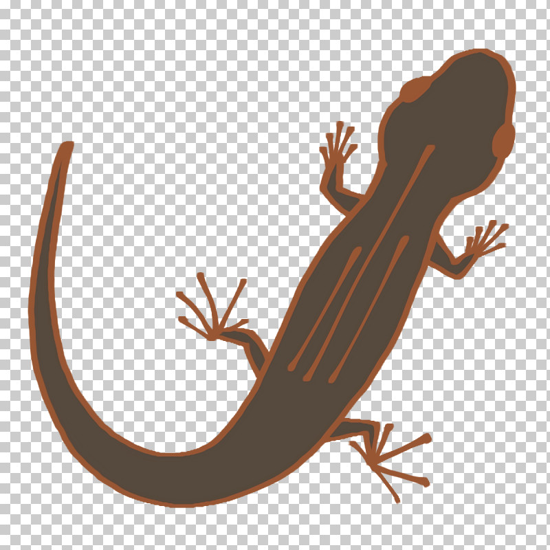 Gecko Amphibians Lizard Tail Biology PNG, Clipart, Amphibians, Biology, Gecko, Lizard, Science Free PNG Download