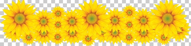 Anna Elsa Frozen Film Series Common Sunflower PNG, Clipart, Anna, Batata Frita, Commodities, Commodity, Common Sunflower Free PNG Download