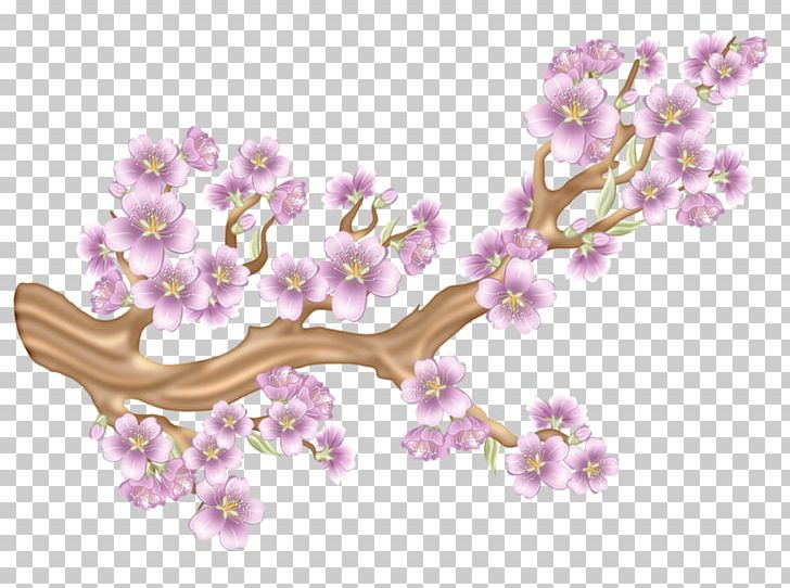 China Cherry PNG, Clipart, Branch, Branches, Cartoon, Cherry, Cherry Blossom Free PNG Download