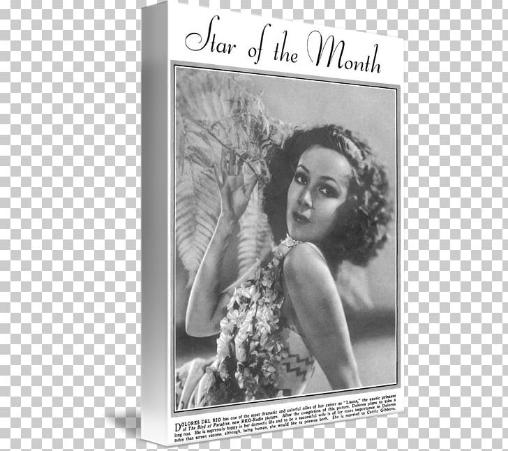 Dolores Del Río Frames Gallery Wrap Canvas PNG, Clipart, Antique, Art, Black And White, Canvas, Gallery Wrap Free PNG Download
